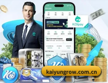 开云 APP - kaiyun
