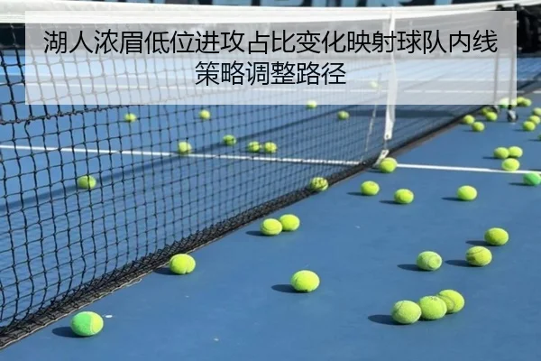 湖人浓眉低位进攻占比变化映射球队内线策略调整路径